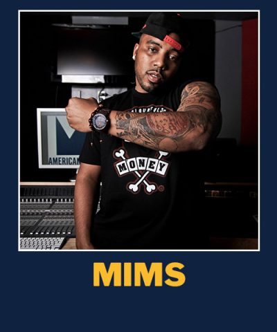 artists-mims